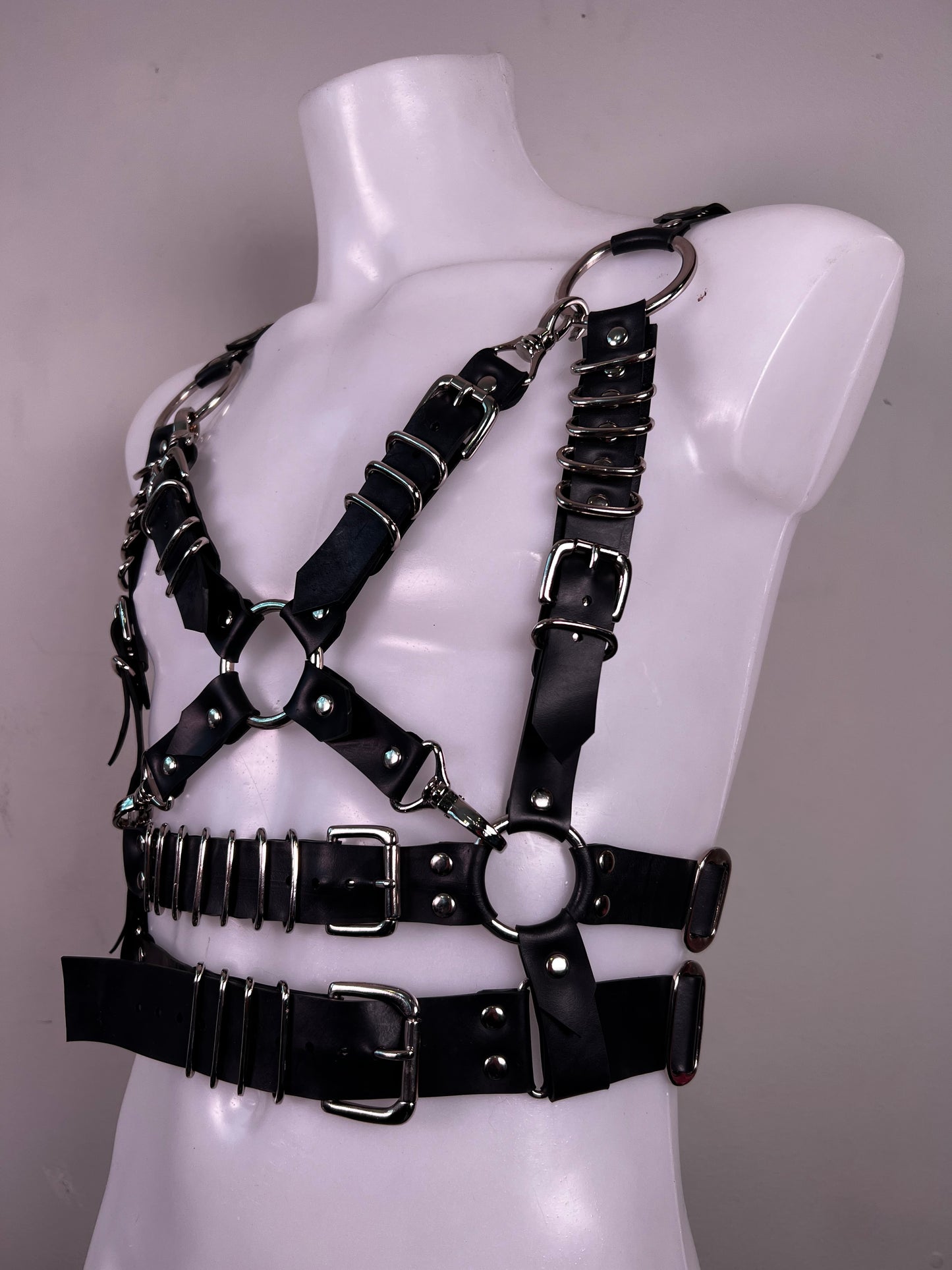 Apollo harness