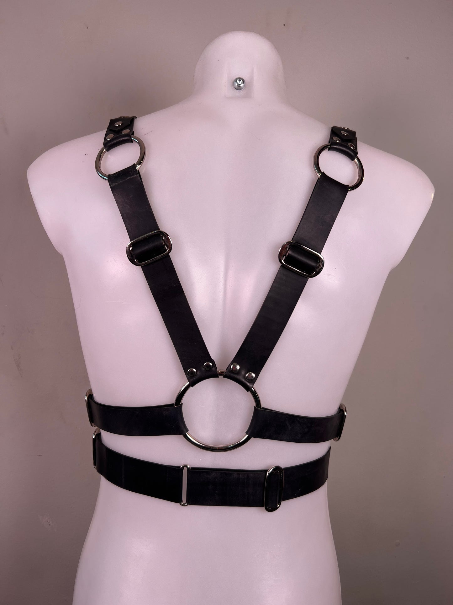 Apollo harness