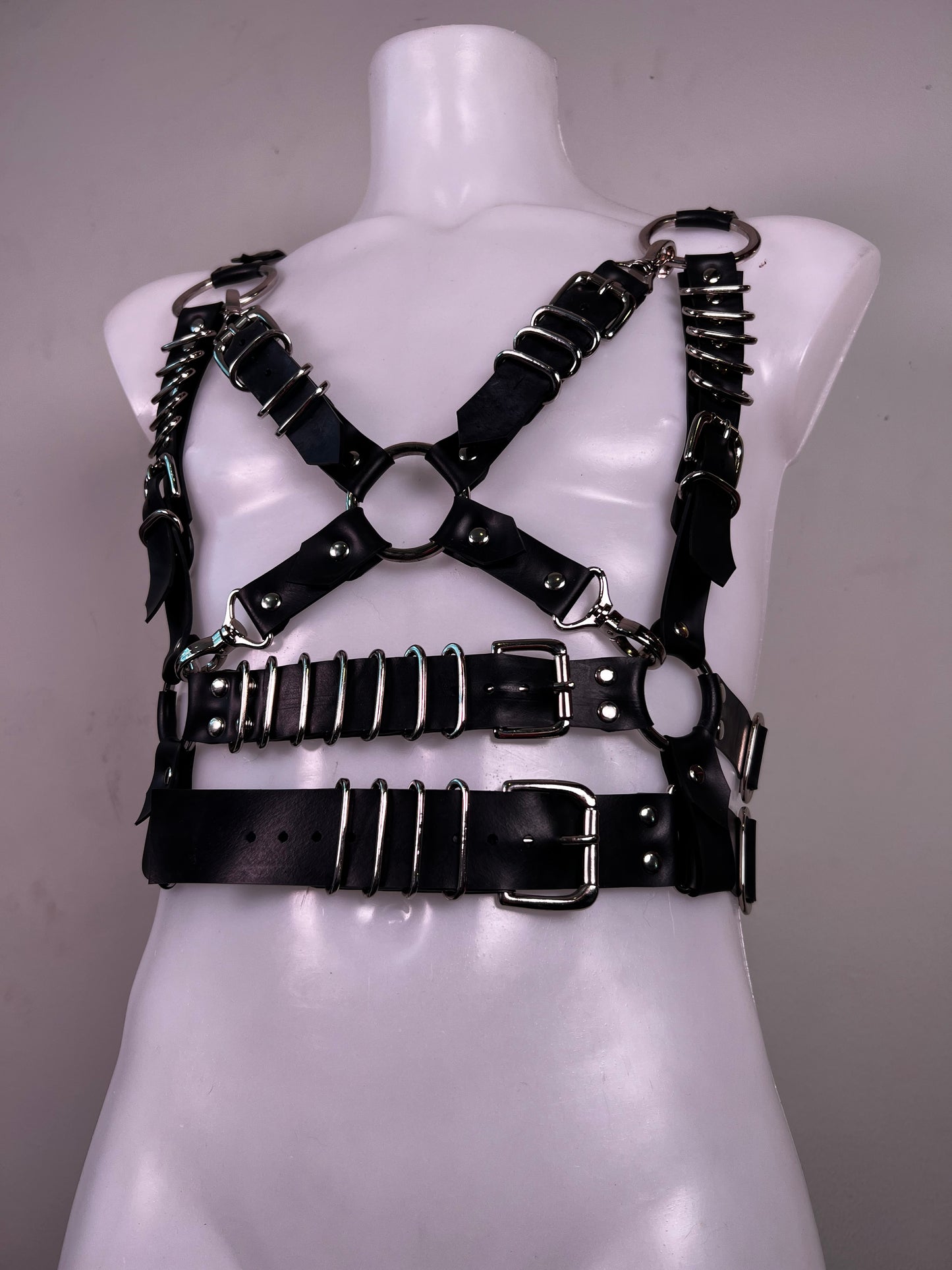 Apollo harness