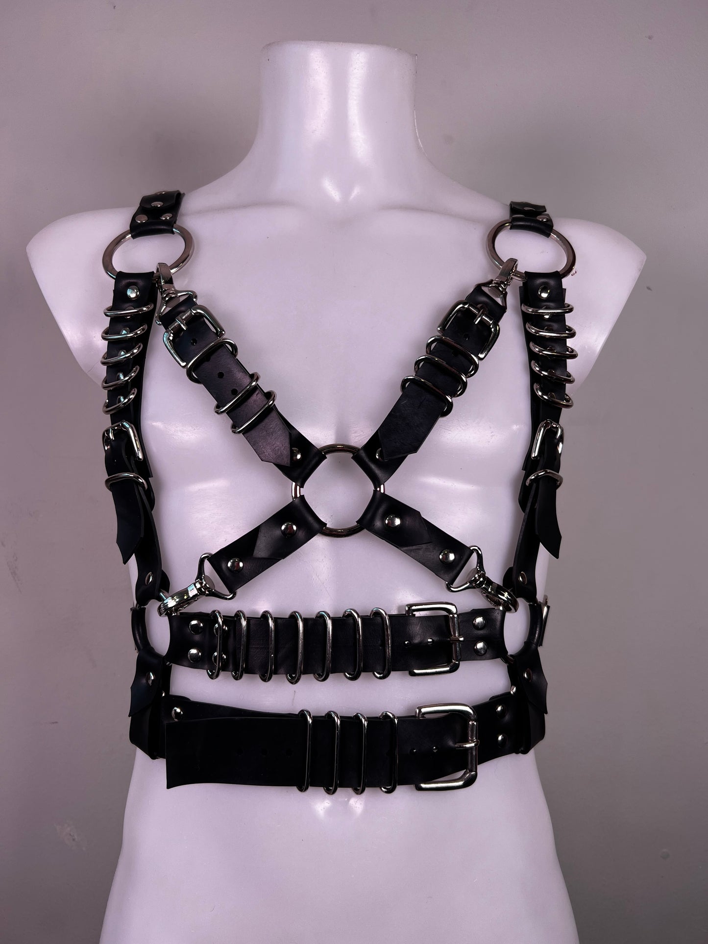 Apollo harness