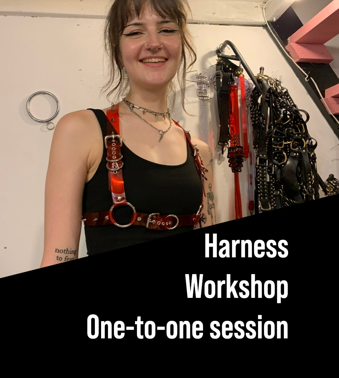 One-to-one harness workshop