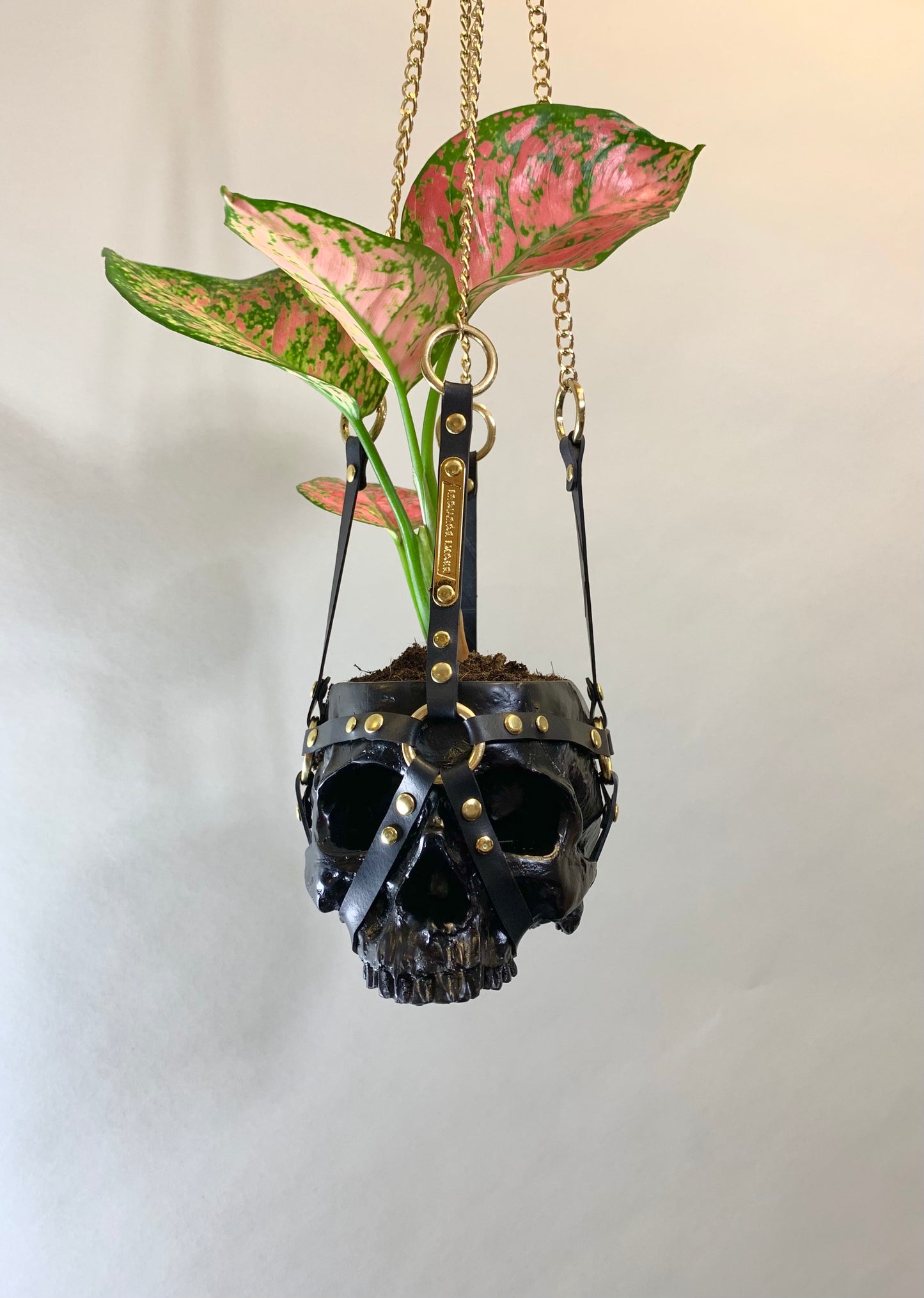 Hanging skull planter