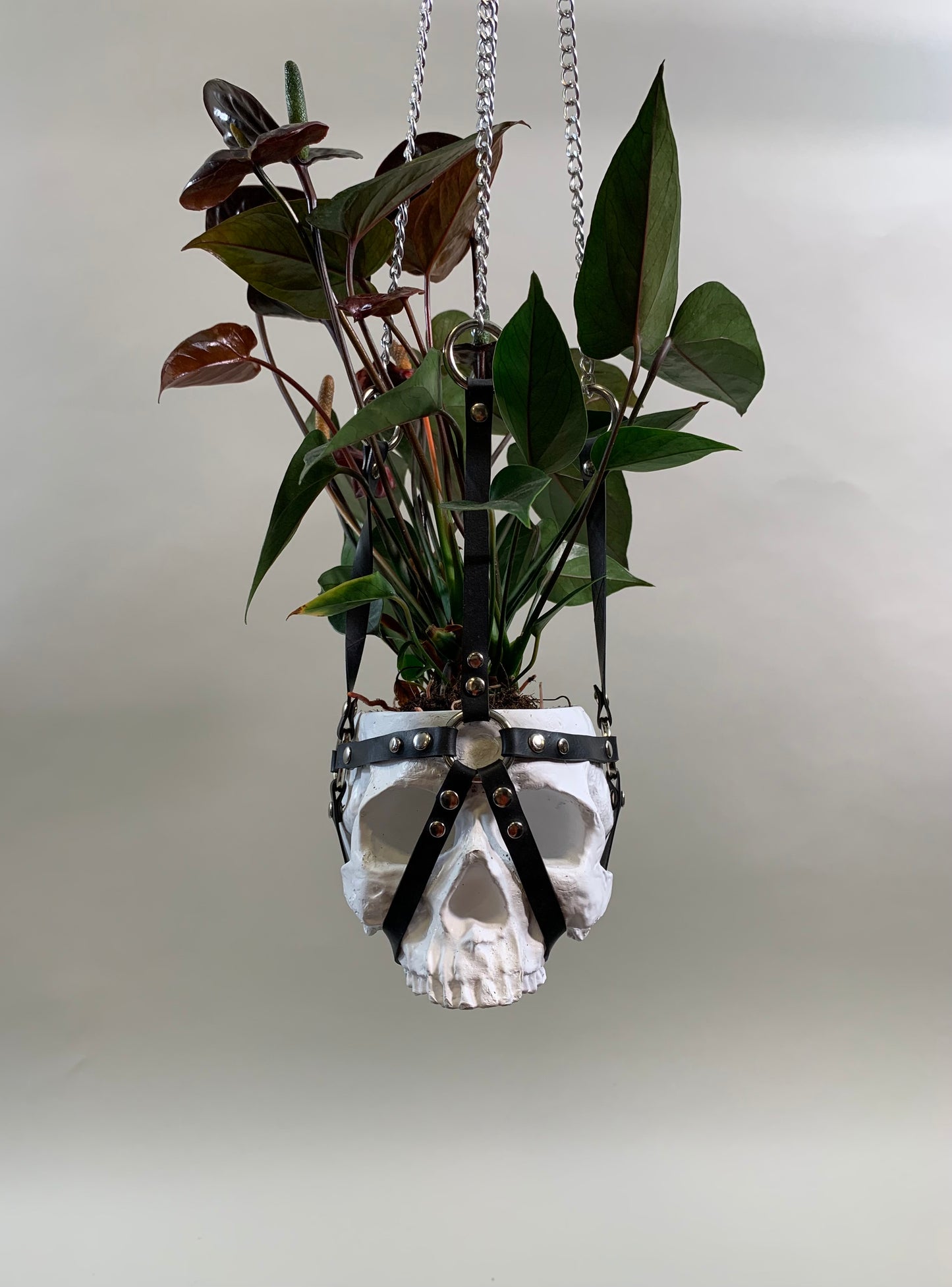 Hanging skull planter